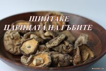 ШИЙТАКЕ - царицата на гъбите