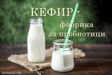 КЕФИР - фабрика за пробиотици