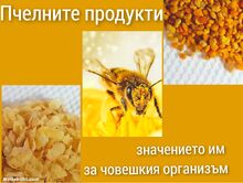 ПЧЕЛНИТЕ ПРОДУКТИ - значението им за човешкото здраве