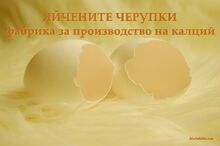 ЯЙЧЕНИТЕ ЧЕРУПКИ - фабрика за производство на калций