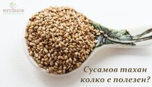 ТАХАН СУСАМОВ - КОЛКО Е ПОЛЕЗЕН?