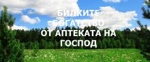 БИЛКИТЕ - БОГАТСТВО ОТ АПТЕКАТА НА ГОСПОД